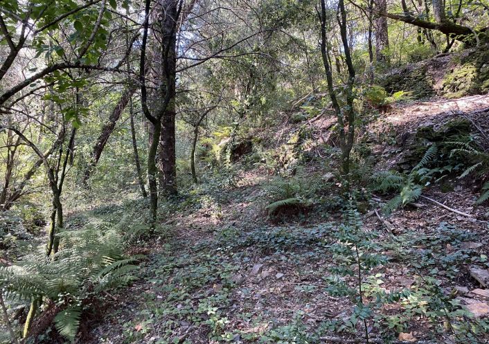 vente Terrain de loisir Saint Andre De Majencoules