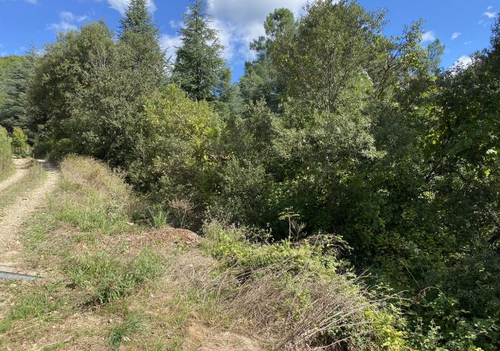 vente Terrain de loisir Saint Andre De Majencoules