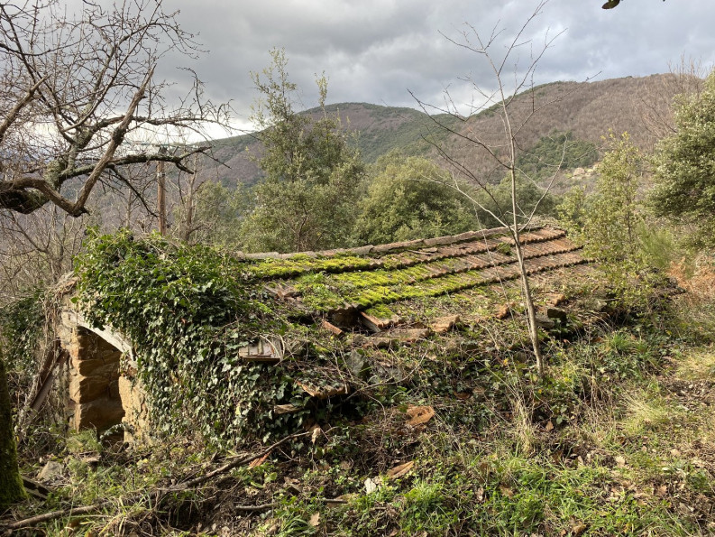 vente Mas Saint Roman De Codieres - Photo 7