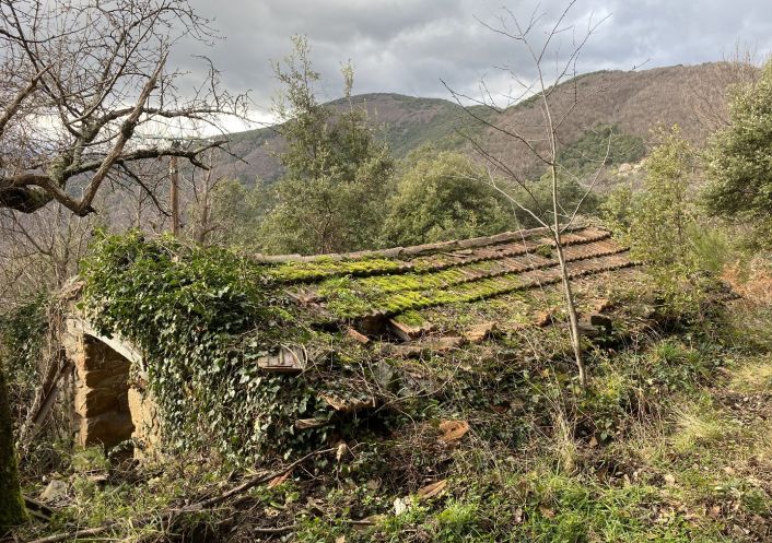 sale Mas Saint Roman De Codieres