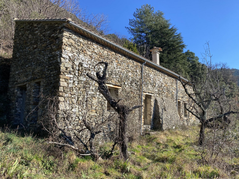 vente Mas Saint Roman De Codieres - Photo 5