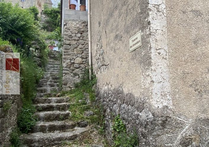 vente Maison de hameau Saint Andre De Majencoules