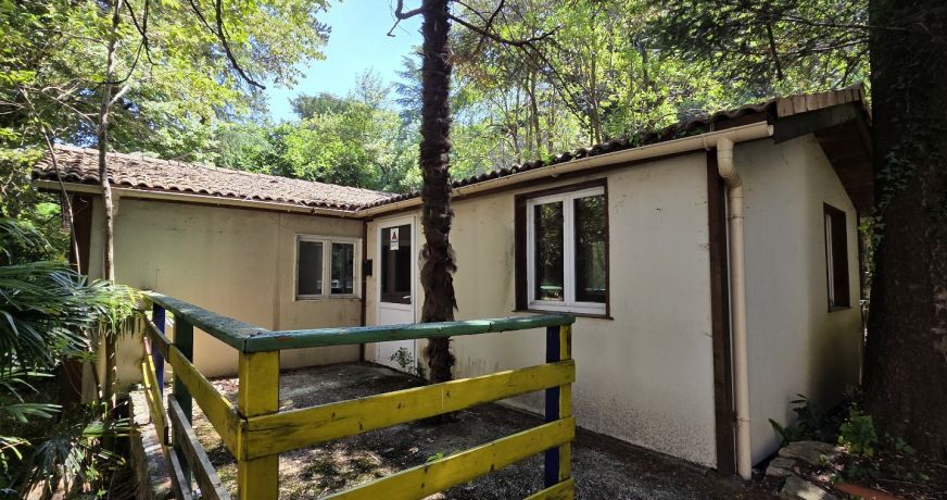 vente Château Le Vigan