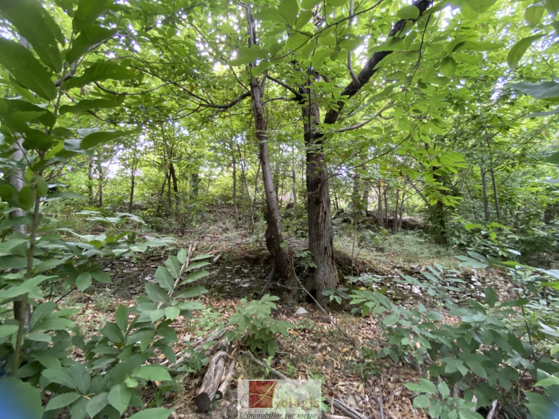 vente Terrain constructible Le Vigan - Photo 2