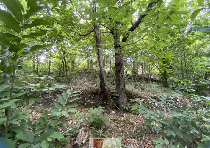 vente Terrain constructible Le Vigan