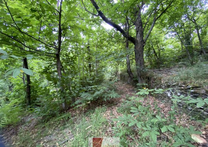 vente Terrain constructible Le Vigan