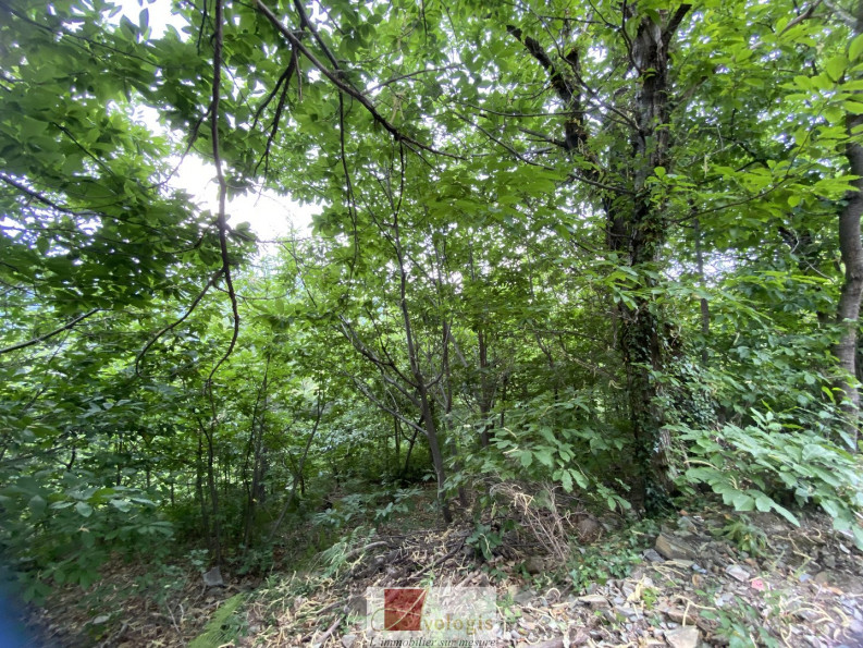 vente Terrain constructible Le Vigan - Photo 3