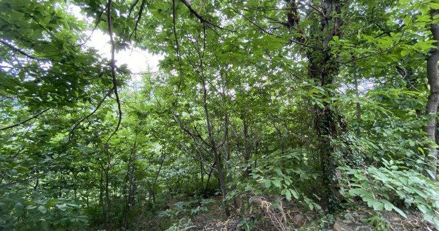 vente Terrain constructible Le Vigan