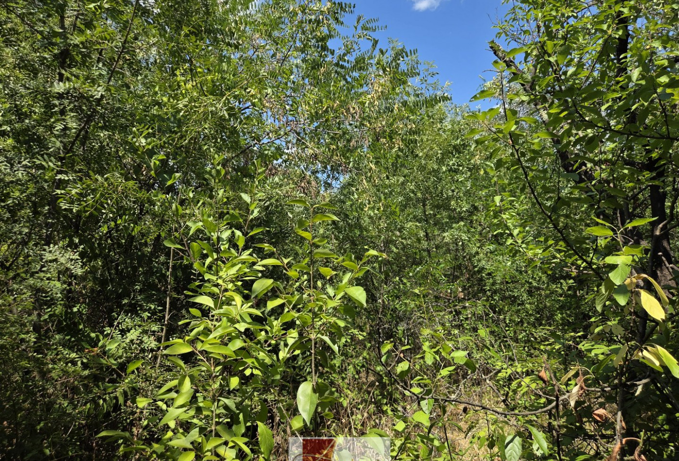 vente Terrain constructible Ganges - Photo 5