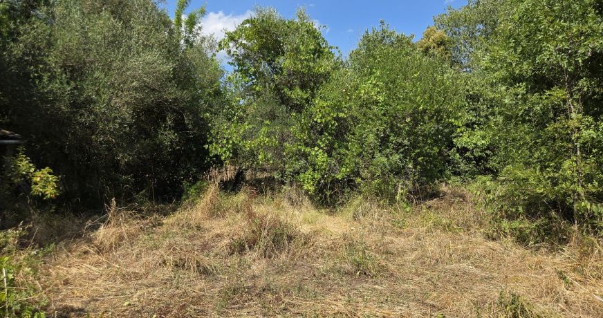 vente Terrain constructible Ganges