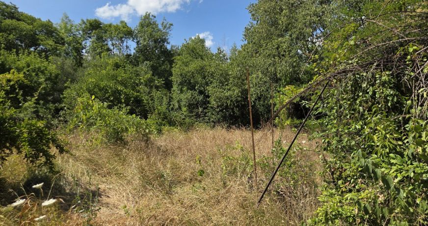 vente Terrain constructible Ganges