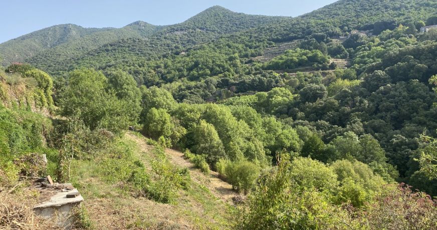 vente Maison de village Saint Martial