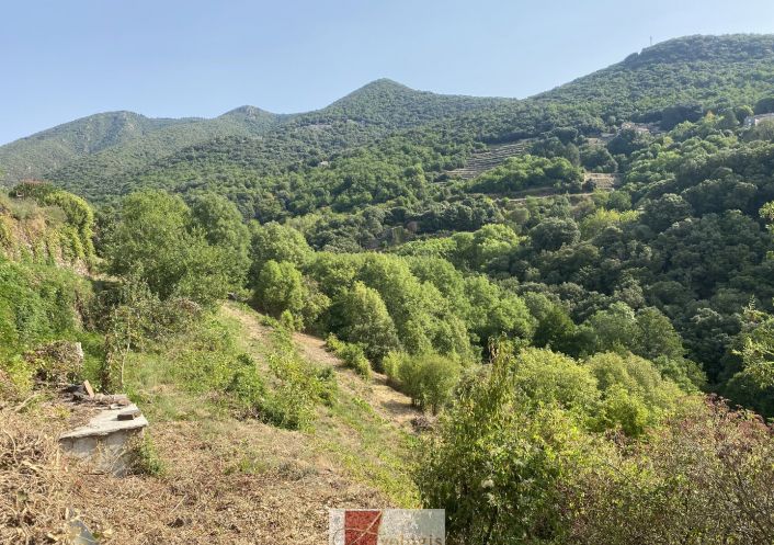 vente Maison de village Saint Martial