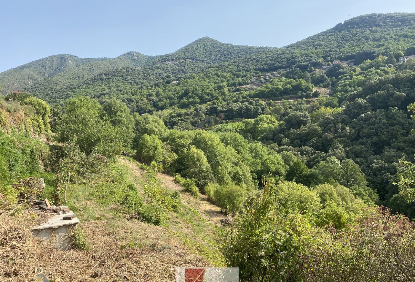 vente Maison de village Saint Martial - Photo 6