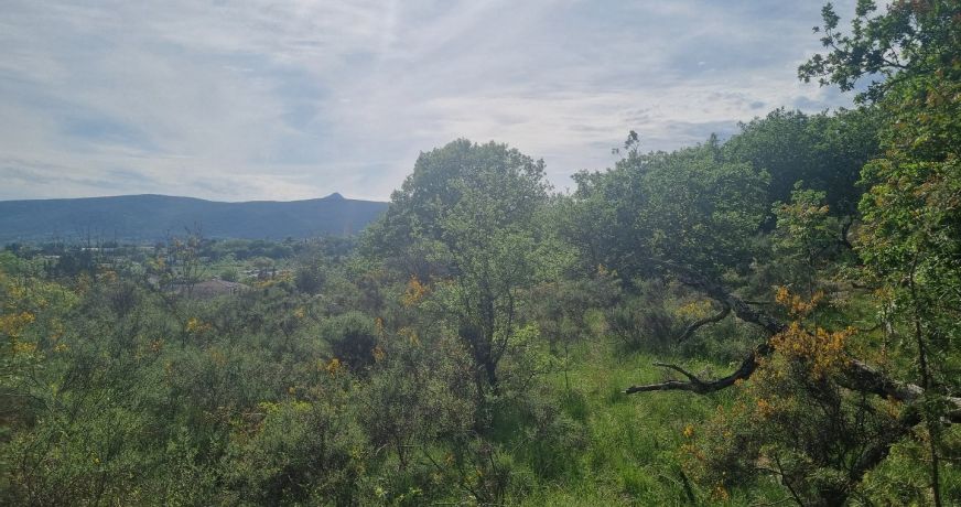 vente Terrain constructible Ganges