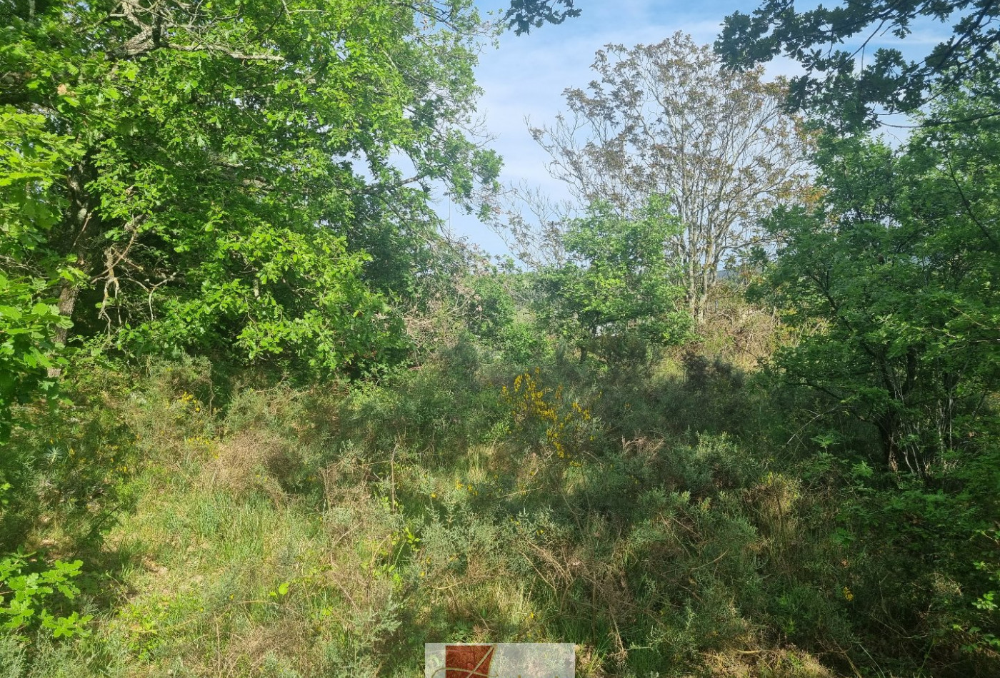 vente Terrain constructible Ganges - Photo 6