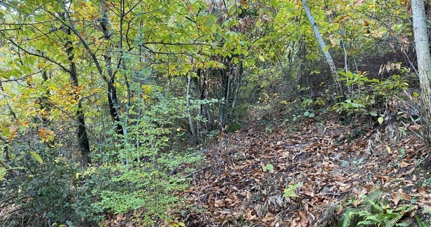 vente Terrain de loisir Colognac