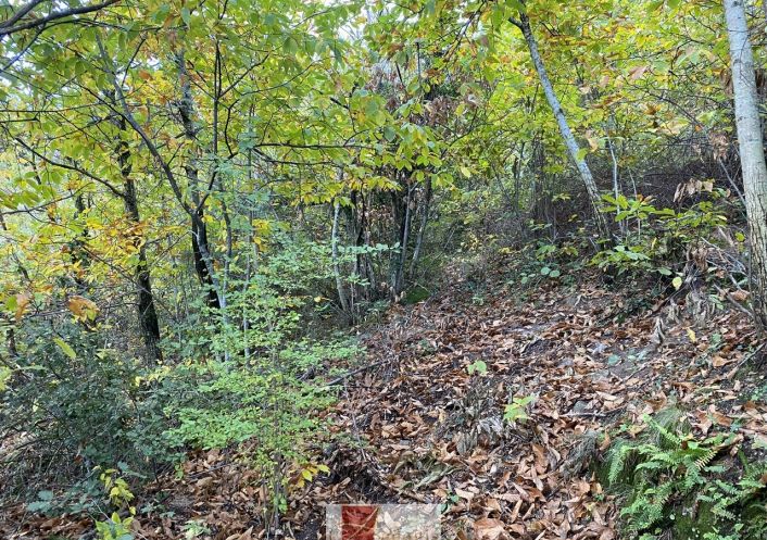 vente Terrain de loisir Colognac