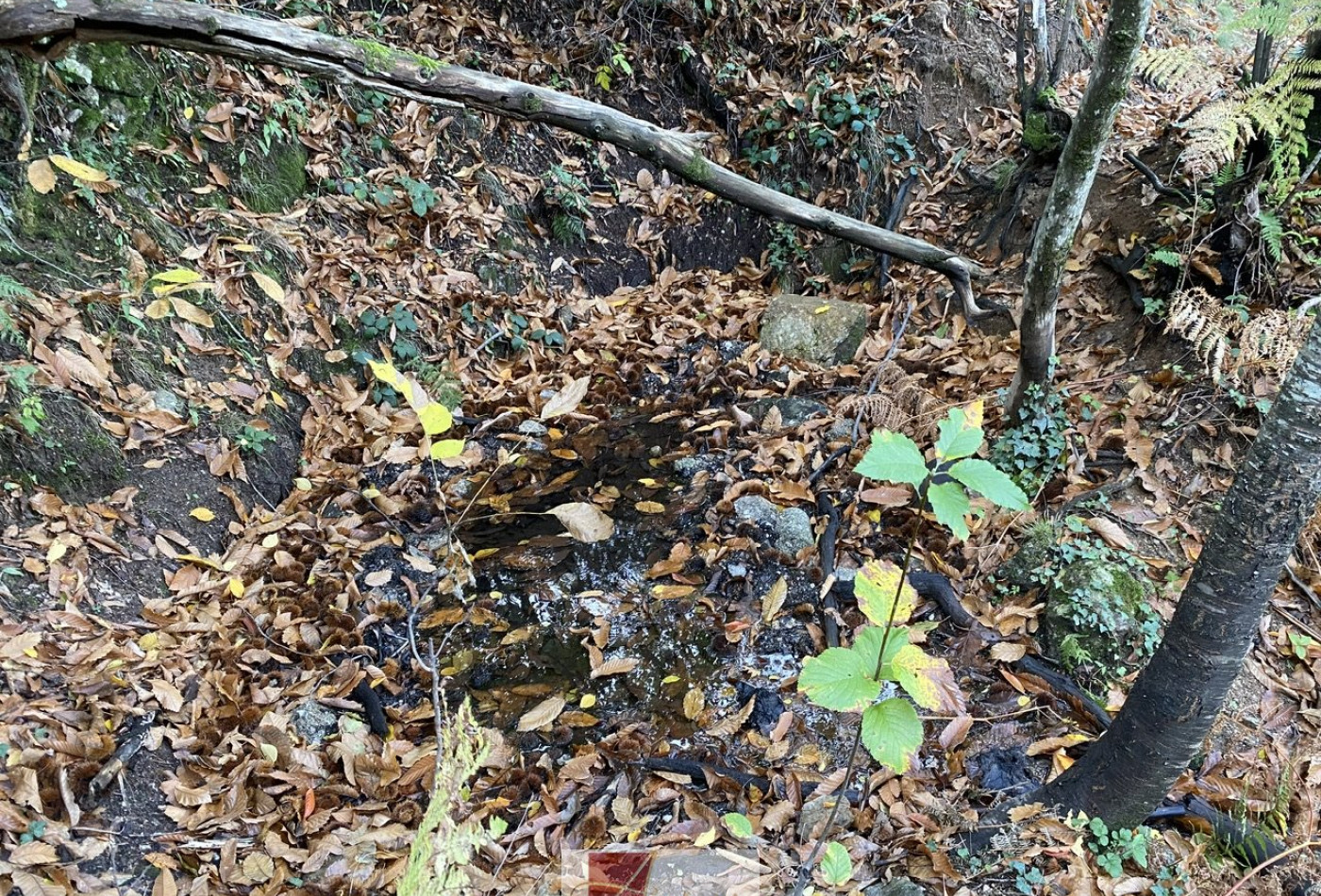 vente Terrain de loisir Colognac - Photo 5