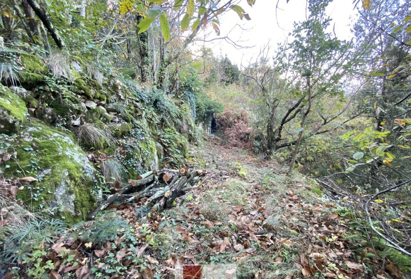 vente Terrain de loisir Colognac - Photo 3