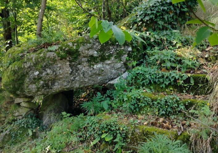 vente Terrain de loisir Colognac