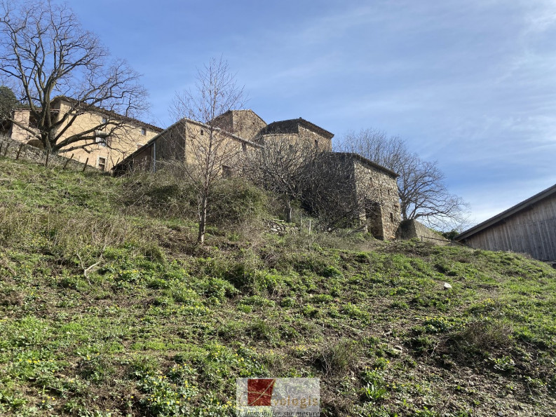 vente Maison de hameau Saint Roman De Codieres - Photo 1