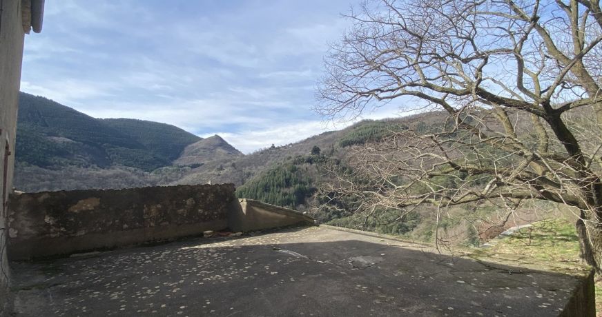 vente Maison de hameau Saint Roman De Codieres