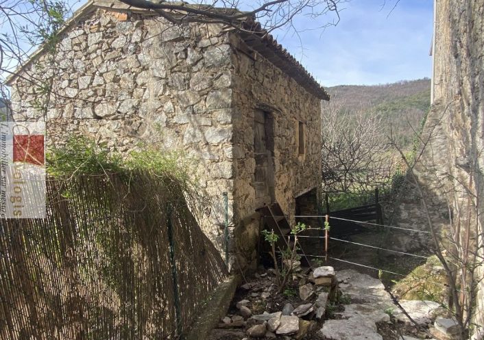 vente Maison de hameau Saint Roman De Codieres