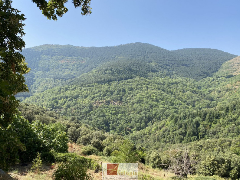 vente Maison de hameau Saint Roman De Codieres - Photo 2