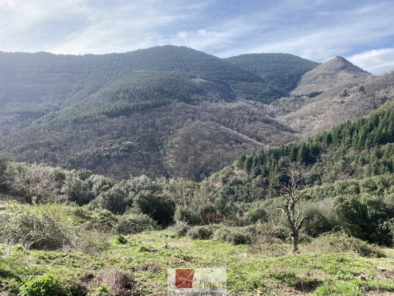 vente Maison de hameau Saint Roman De Codieres - Photo 2