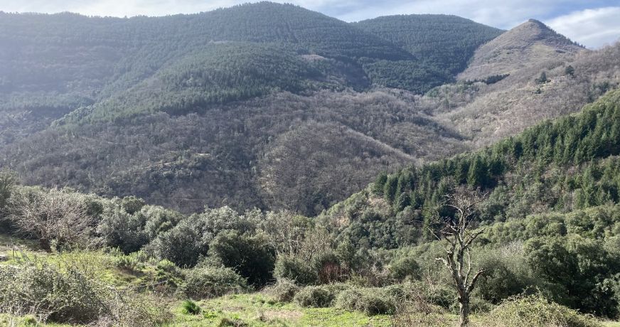 vente Maison de hameau Saint Roman De Codieres