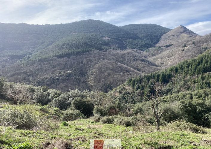 vente Maison de hameau Saint Roman De Codieres