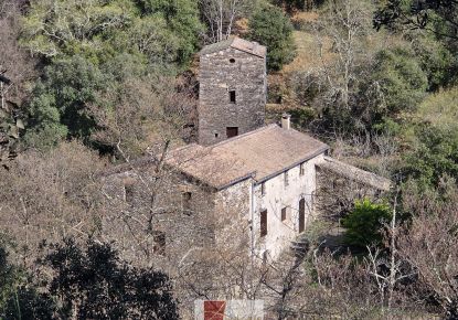 vente Mas Saint Martial