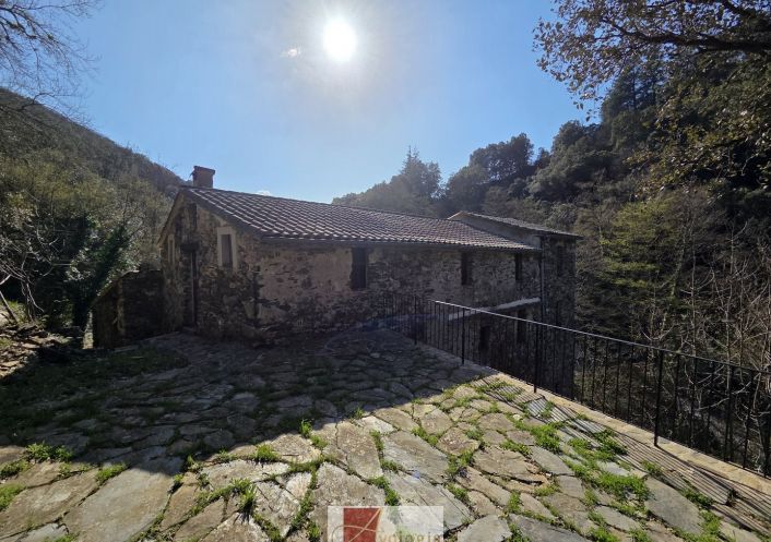 vente Mas Saint Martial