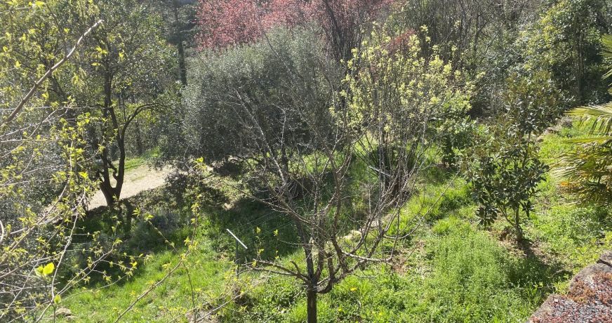 vente Maison Le Vigan