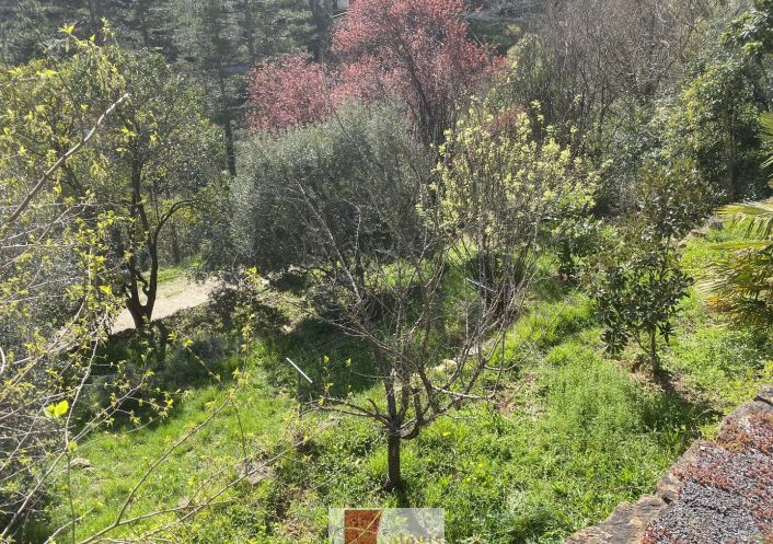 vente Maison Le Vigan