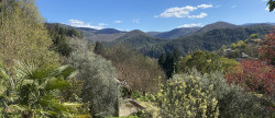 vente Maison Le Vigan