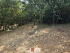 vente Terrain constructible Ganges