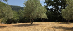 vente Terrain constructible Ganges