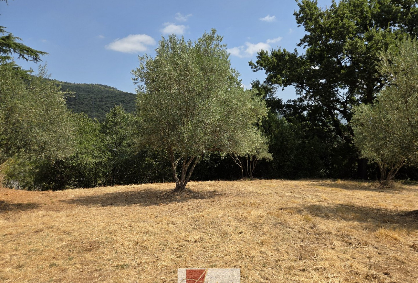 vente Terrain constructible Ganges - Photo 3