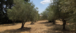 vente Terrain constructible Ganges