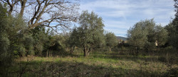 vente Terrain constructible Ganges