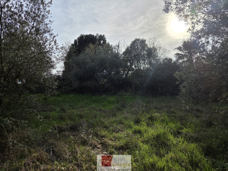 vente Terrain constructible Ganges - Photo 3
