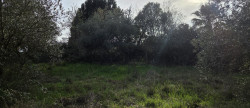 vente Terrain constructible Ganges