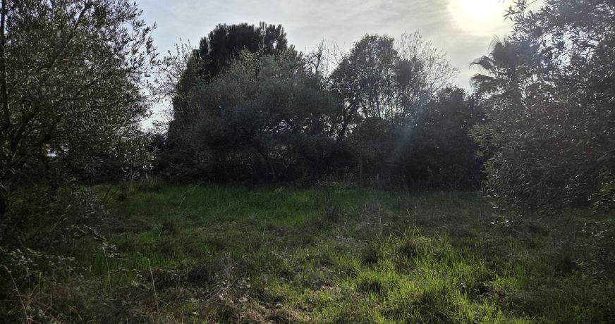 vente Terrain constructible Ganges