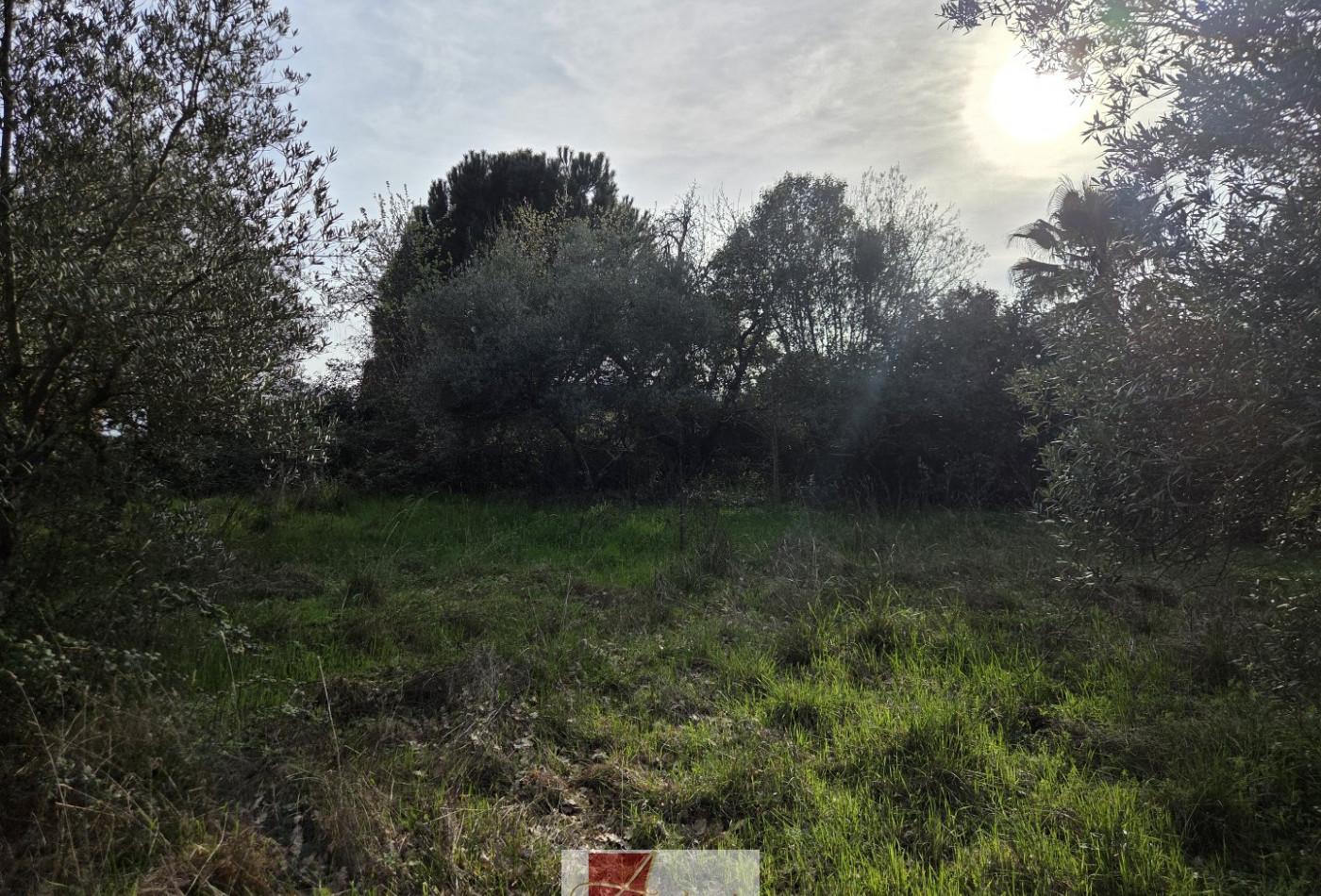 vente Terrain constructible Ganges - Photo 5