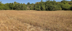 vente Terrain agricole Vallerargues