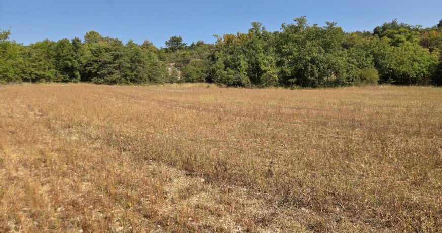 vente Terrain agricole Vallerargues