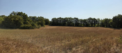 vente Terrain agricole Vallerargues