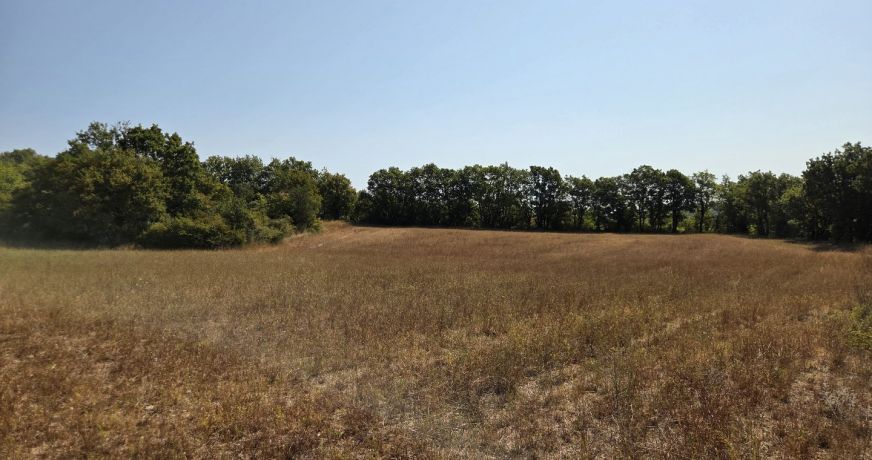 vente Terrain agricole Vallerargues